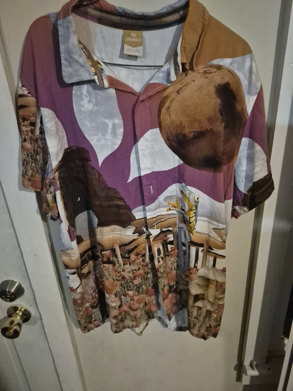 Dravus Men's Purple Brown Graphic Button-Down Shirt